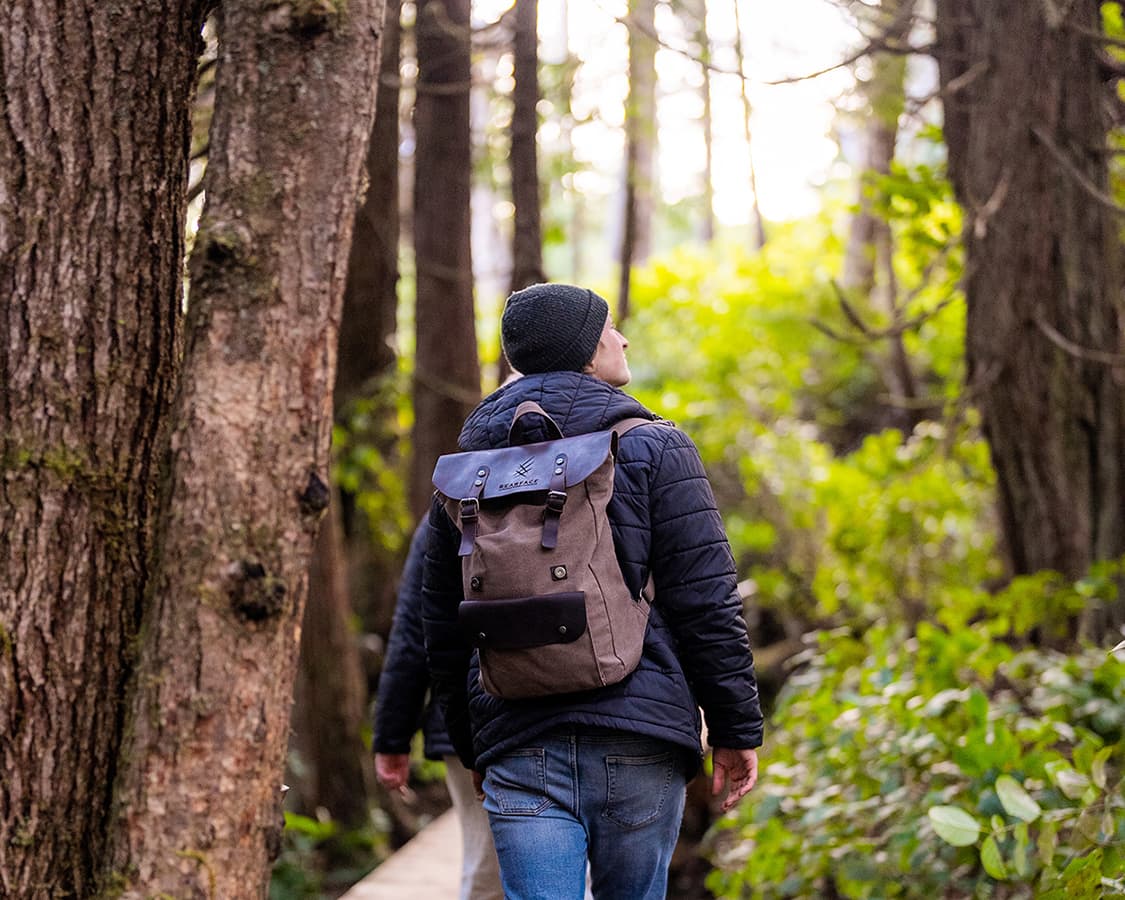 A walk in the woods